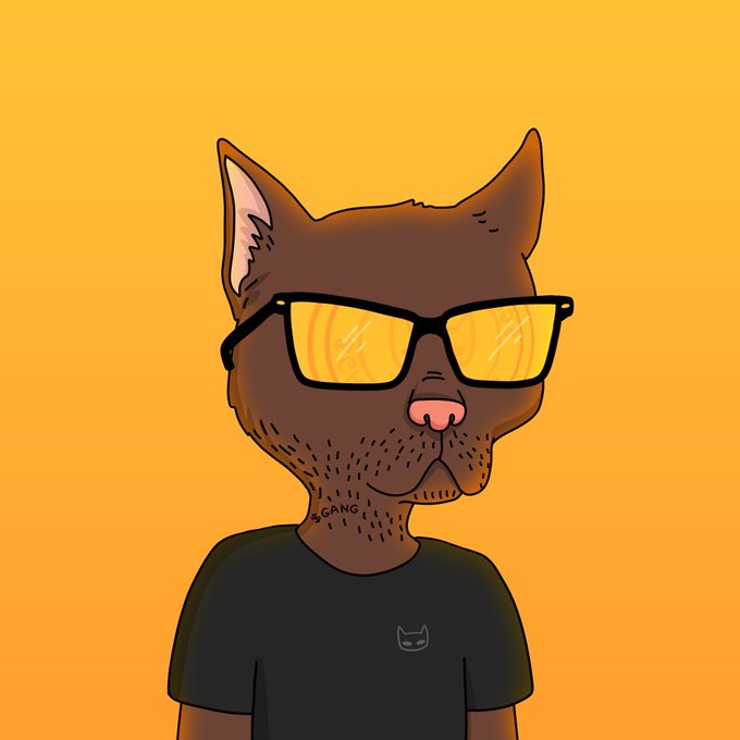 Happy Caturday, Gang!