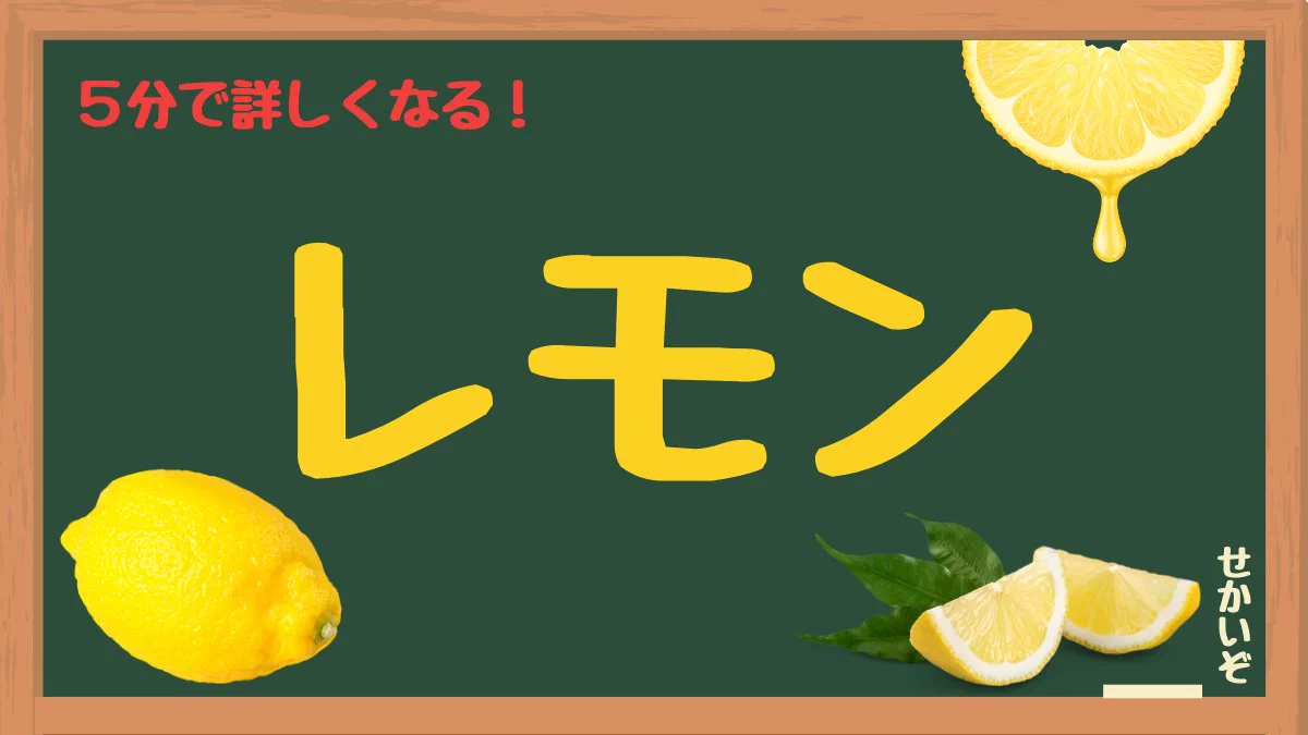 こっけ～@せかいぞ『旅🌏️×勉強✏️』 na platformě X: „世界の解像度
