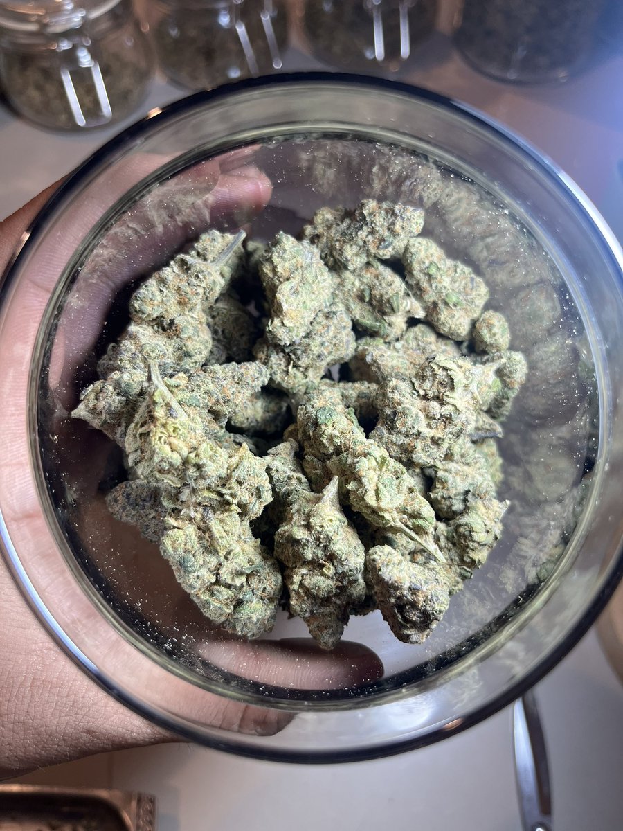 purelypurple420's tweet photo. สายพันธุ์  CANDY PAVE อินดอ 100 ฿ .- 150฿ 
สนใจมาที่หน้าร้านได้ หรือทักได้ครับผม  
แม่โจ้ทักทายครับผม 😊
ปลูกเอง 100%

https://t.co/u5dX40HoBw
 
#กัญชาแม่โจ้ #กัญชากรุงเทพ #กัญชาog #กัญชาเชียงใหม่ #อัดแท่ง #พันลำ #กัญชา https://t.co/tkErpavSke