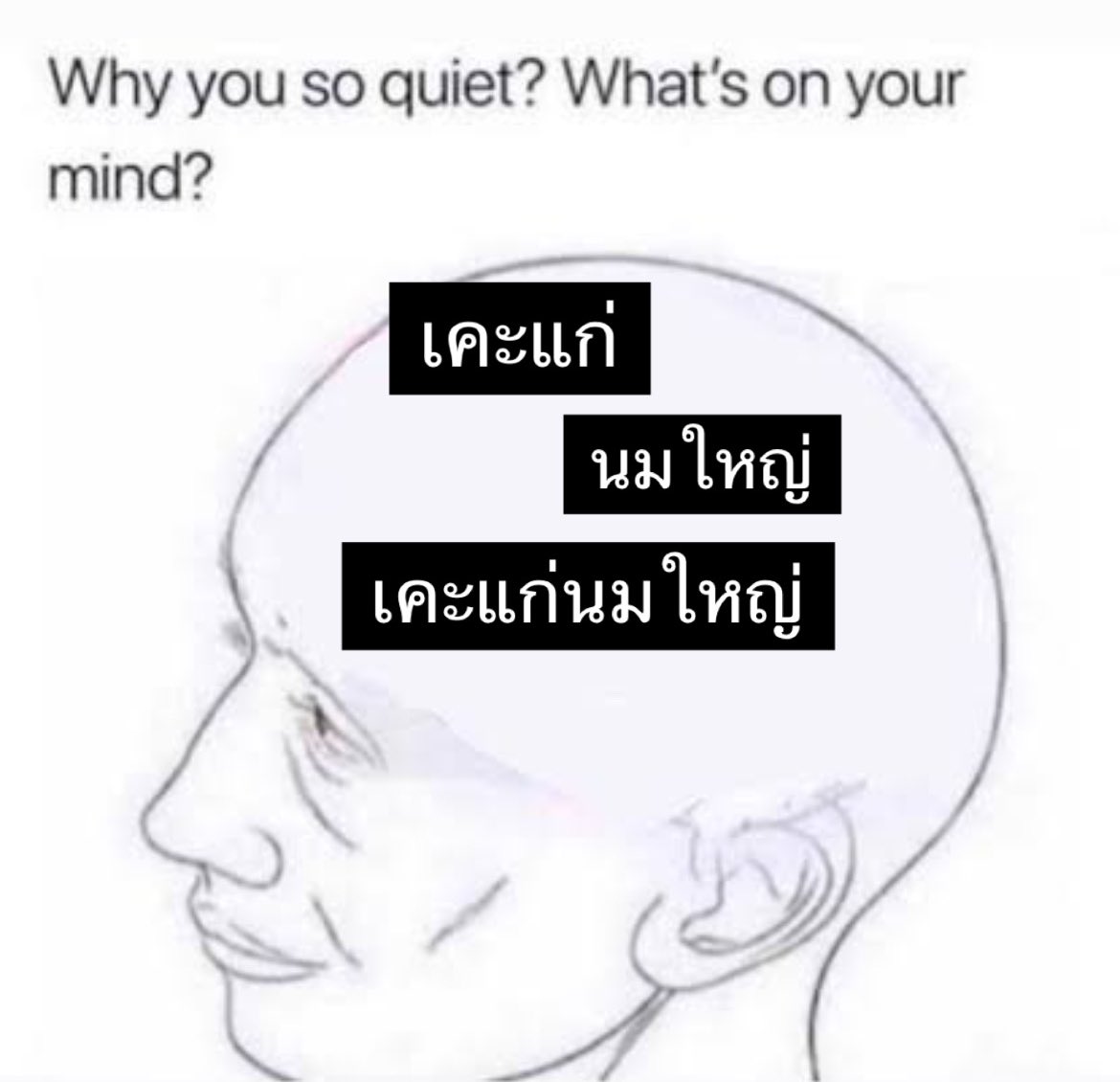 pompon (@shitercup) on Twitter photo 