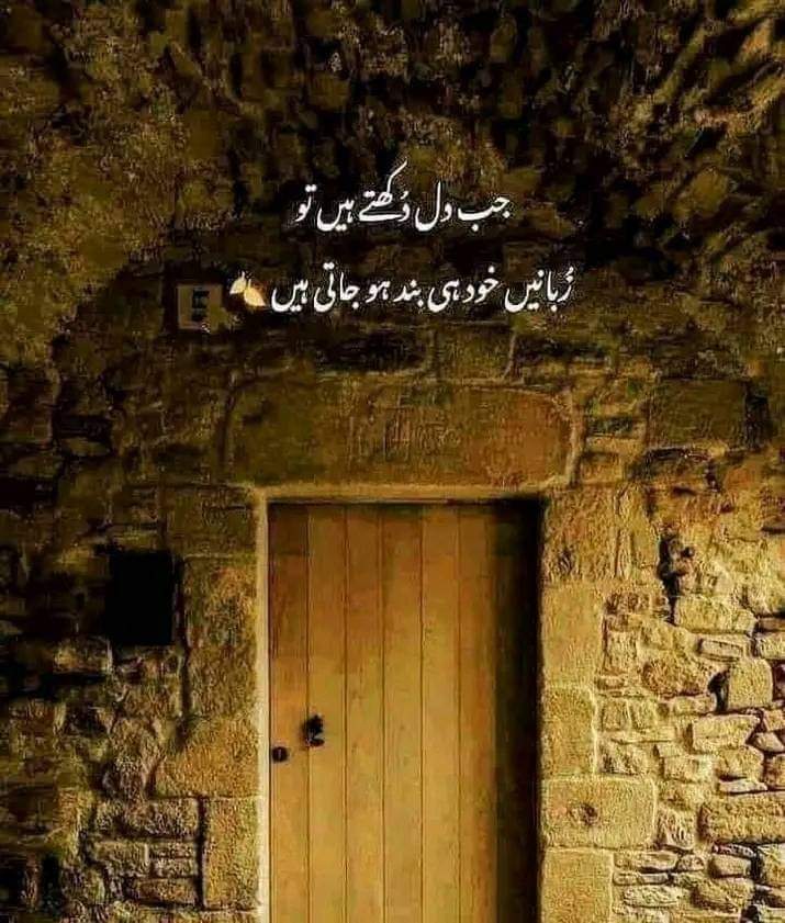 shoki (@shoki198) on Twitter photo 