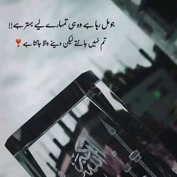 shoki (@shoki198) on Twitter photo 