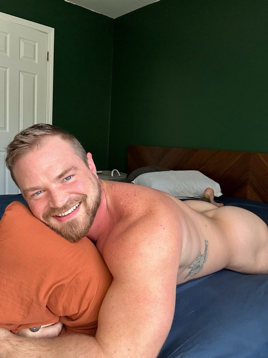 Kitten Bear tweet media