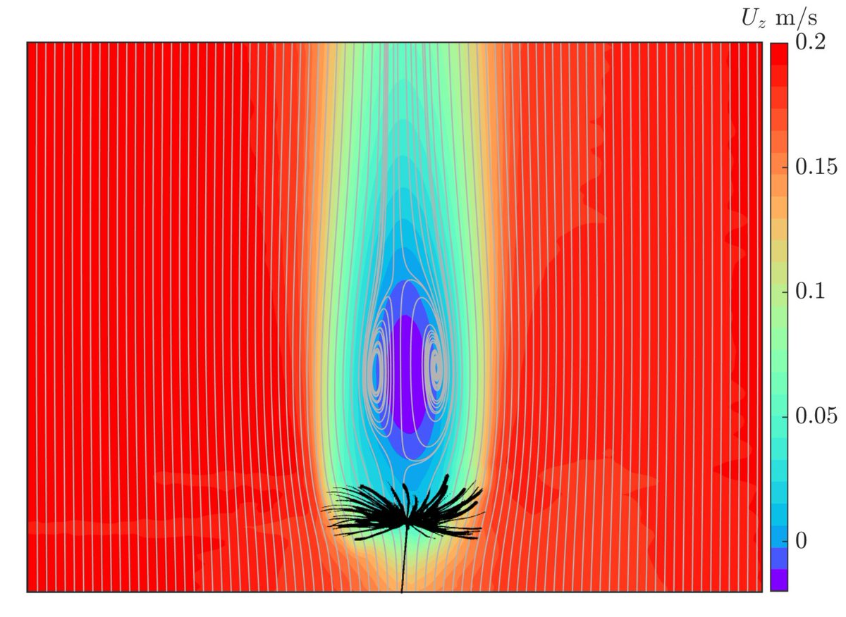 Interested in PIV of small flyers such as micro robots inspired by the dandelion seed? 

Apply for a PhD or Research Associate (postdoctoral) position at lnkd.in/dMexGRd 

The Research Associate position closes on 15th October. 

<a href="/ERC_Research/">European Research Council (ERC)</a> #DANDIDRONE