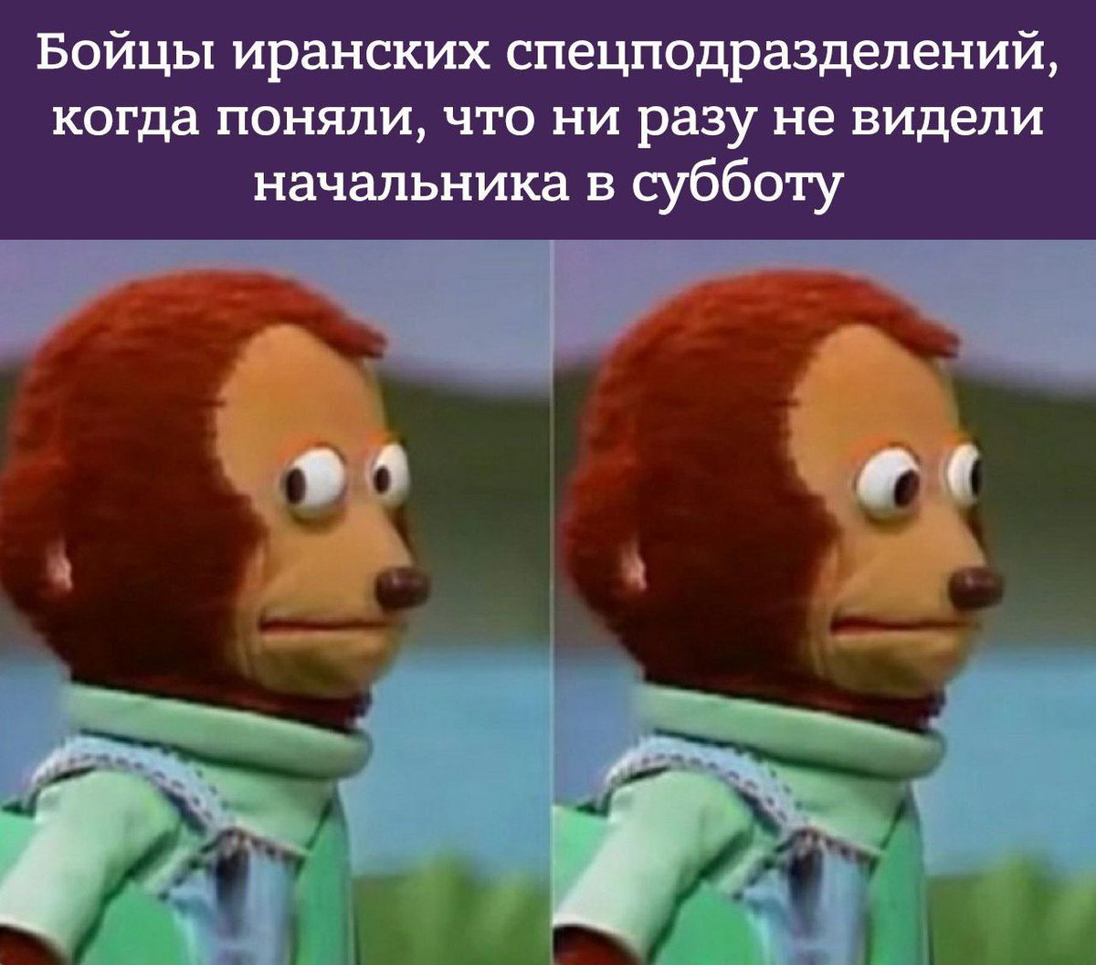 эчпочмак и комбикорм tweet media