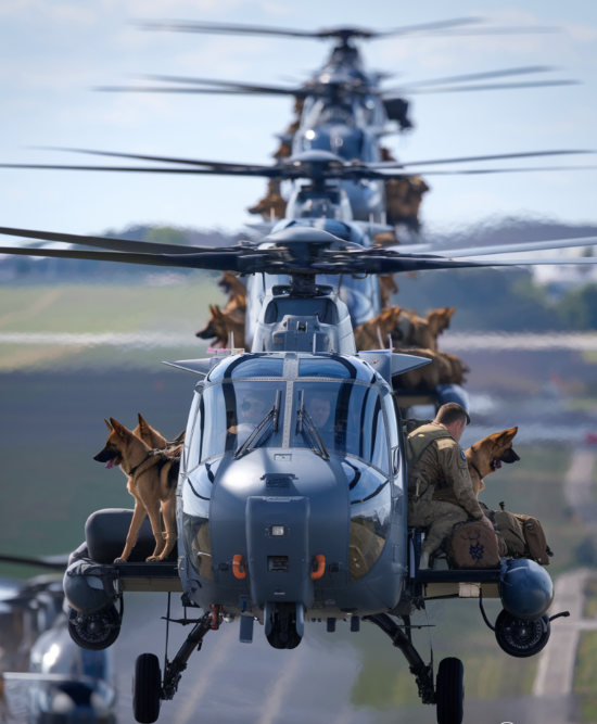_XDogs's tweet photo. We are going on a mission. But so far, nobody has given us some love 🇺🇸🥹🐾🐾 https://t.co/SvM7uNttOC