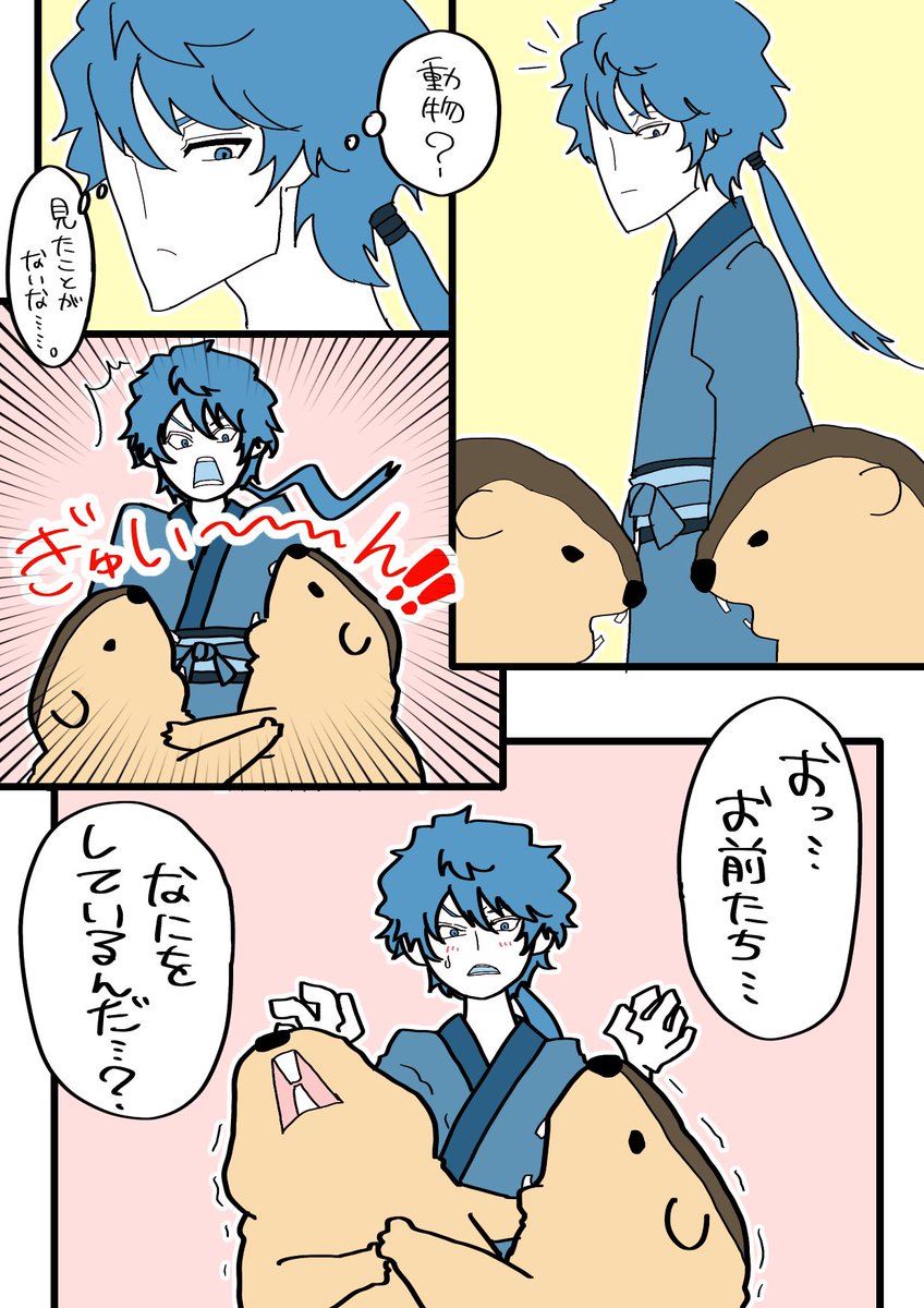 ta_du3's tweet image. はじめて見るマーモットに戸惑う鍾会

マーモット動画癒されるうううう