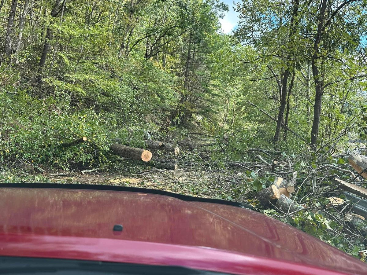 Flyaway Couple tweet media