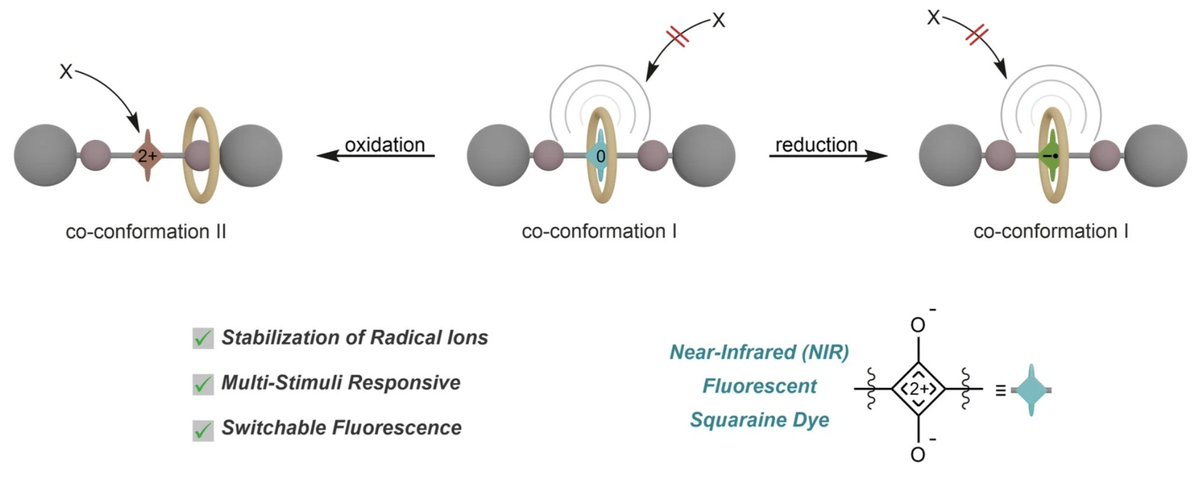 Hendrik Schröder (@hendrikschroe) on Twitter photo Discover how we protect a sensitive NIR dye in confined spaces using a redox-switchable rotaxane.
Congrats to <a href="/AgSchalley/">Schalley group</a> <a href="/SarkarAg/">Sarkar Lab</a> <a href="/EiglerLab/">EiglerLab</a> and all others!
doi.org/10.1038/s42004… Discover how we protect a sensitive NIR dye in confined spaces using a redox-switchable rotaxane.
Congrats to <a href="/AgSchalley/">Schalley group</a> <a href="/SarkarAg/">Sarkar Lab</a> <a href="/EiglerLab/">EiglerLab</a> and all others!
doi.org/10.1038/s42004…