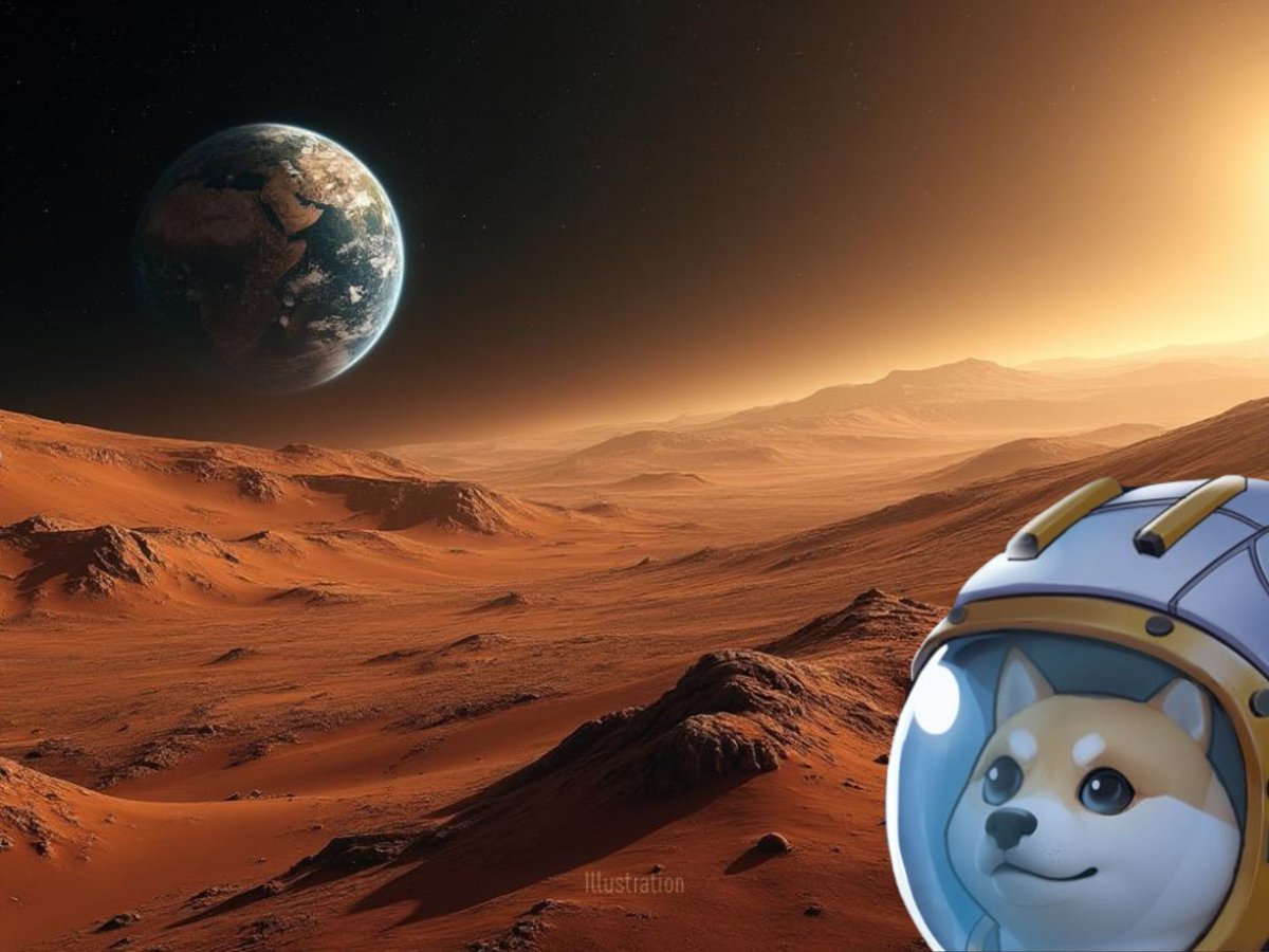 UltramanOnBSC's tweet photo. Star Blink Doge is going on a mission 🚀 https://t.co/zrpiYmcIjv