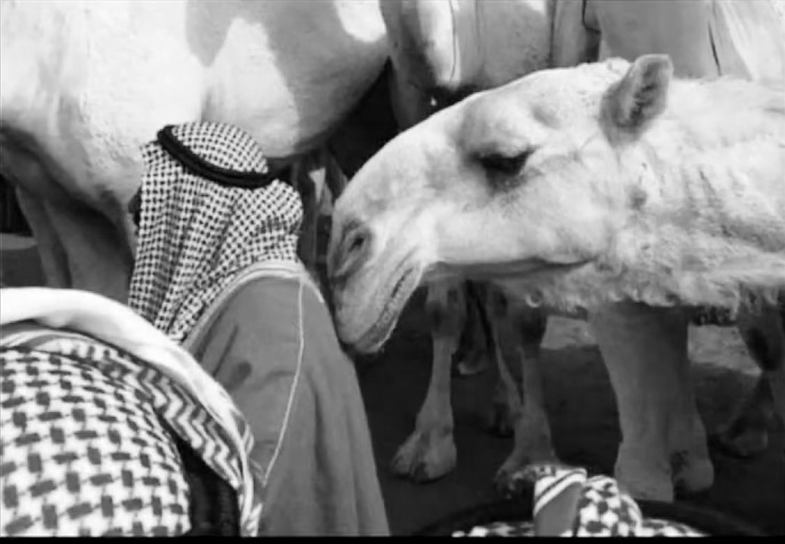 افتحو باب التسامح عساكم تسلمون
العمر ماهو بـ مضمون والدنيا سعه