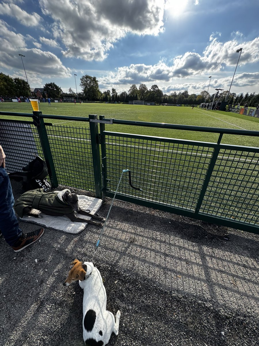 Living autumn Saturdays at <a href="/lichfieldcityfc/">Lichfield City FC</a> 
<a href="/NonLeagueDogs_/">Dogs of Non League</a>
