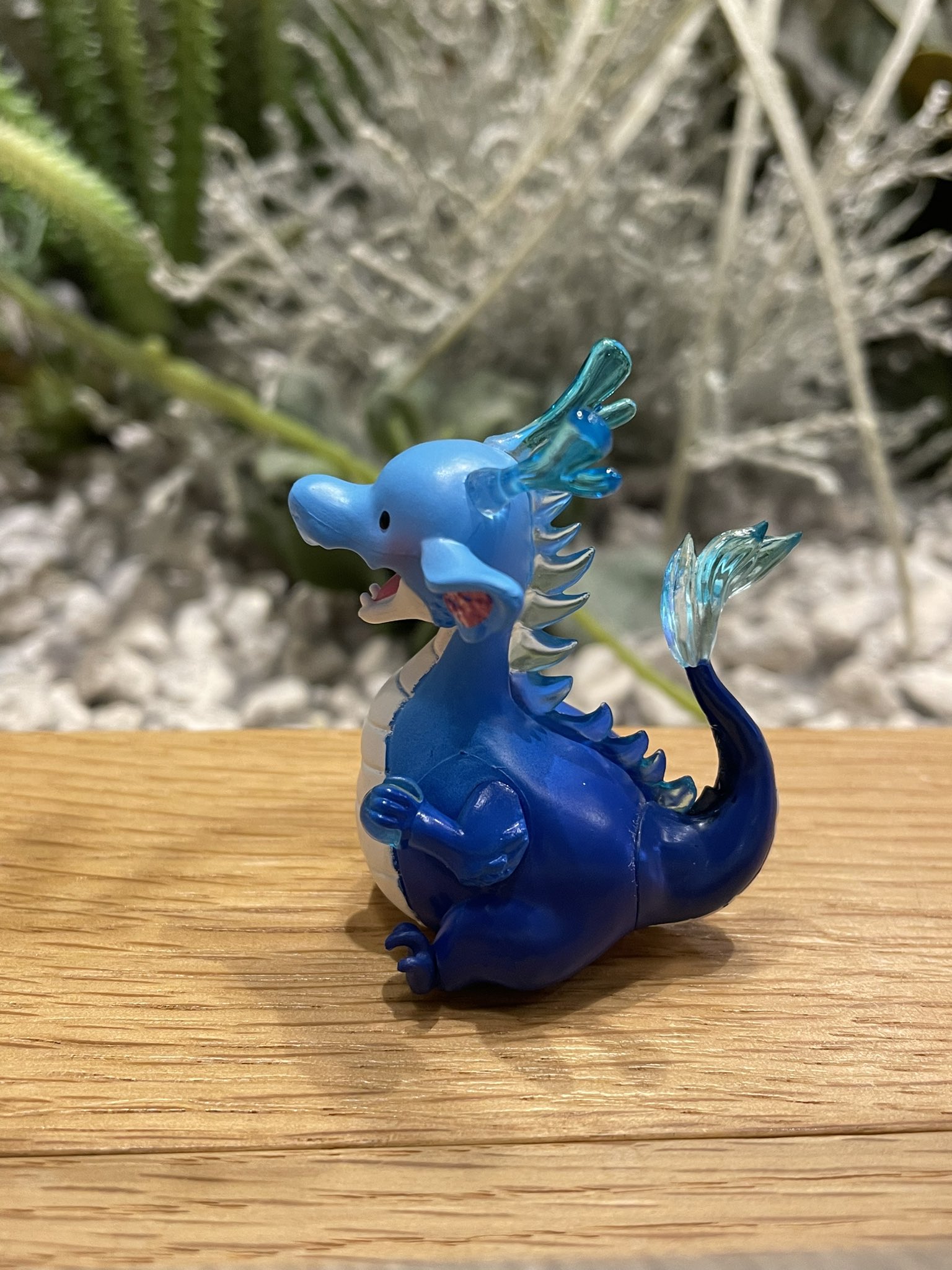  Little Rose Dragon新品・タグ付き 楽天市場】アゾン えっくす☆きゅーと Star Sprinkles/Moon Cat