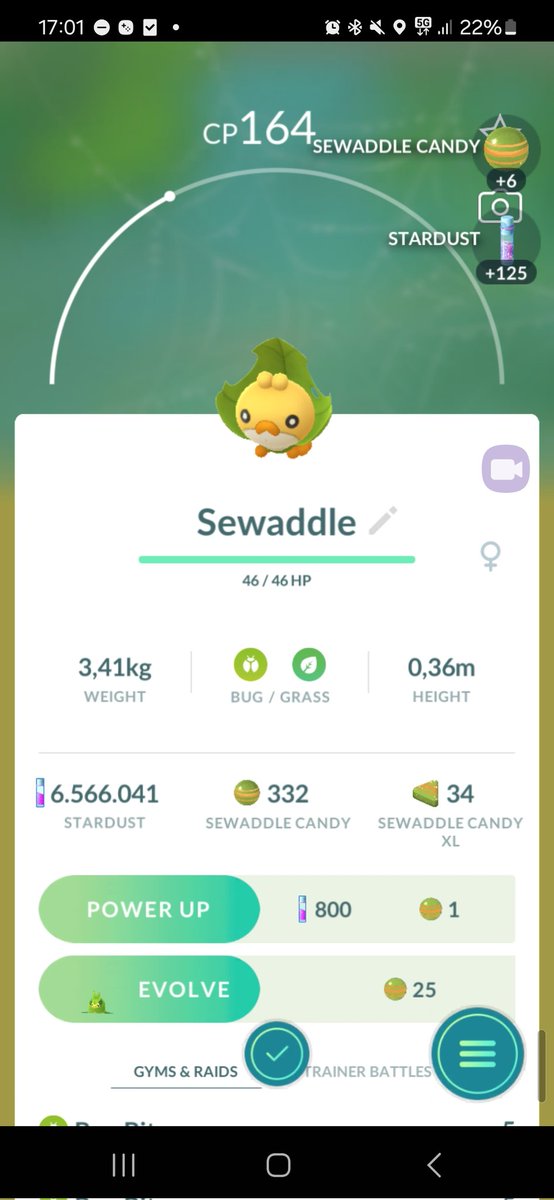 Jacquesblogger2's tweet photo. Yes cute catch.
#pokemongo #pokemon #pokemonNL #pokemonNederlands #pokemonNederland #pokemongoNL #pokemongoNederland #pokemongoNederlands #groningen #jacquesblogger #jacquesblogger2 #assen #Groningen #Drenthe https://t.co/9Eylvo6Zrw