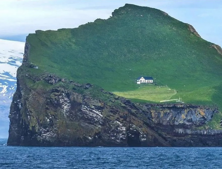 Peter Borbe tweet media