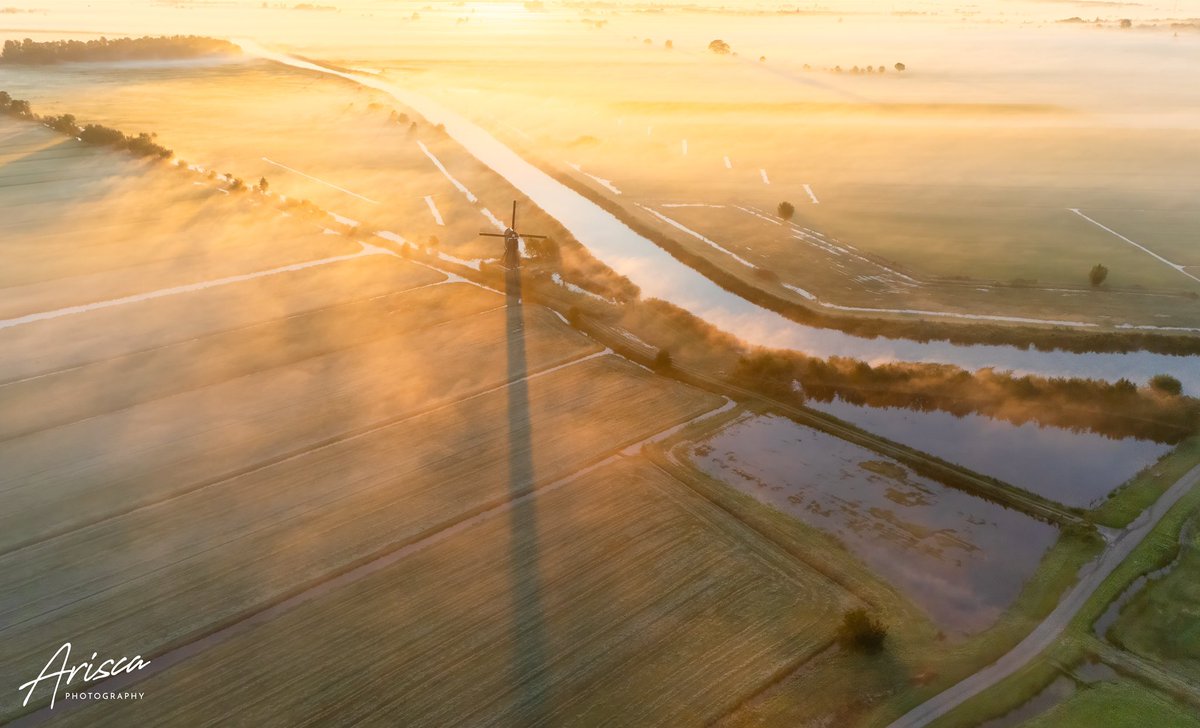 Arisca van ‘t Hof tweet media