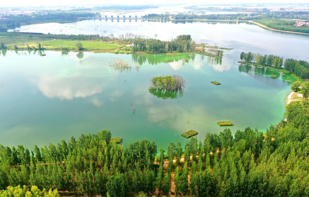 China has made remarkable strides in ecological and environmental protection over past 75 years, increasing the green coverage ratio, improving system for natural protection areas, better-protecting wildlife species &amp; enhancing air pollution control xhtxs.cn/XDz