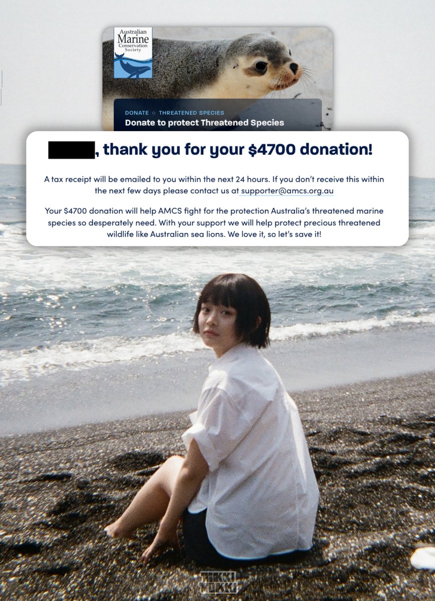 TikkiTokki tweet media