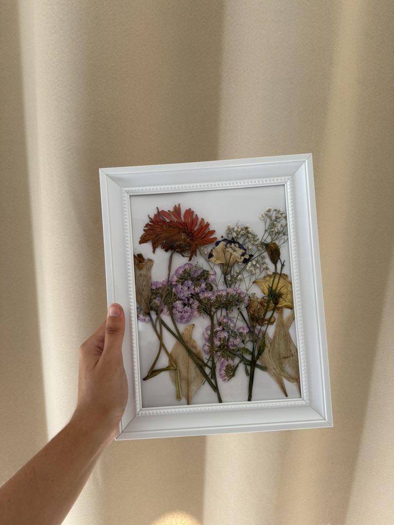 Laura🐙 tweet media