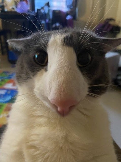 What you looking a- wait what the sog