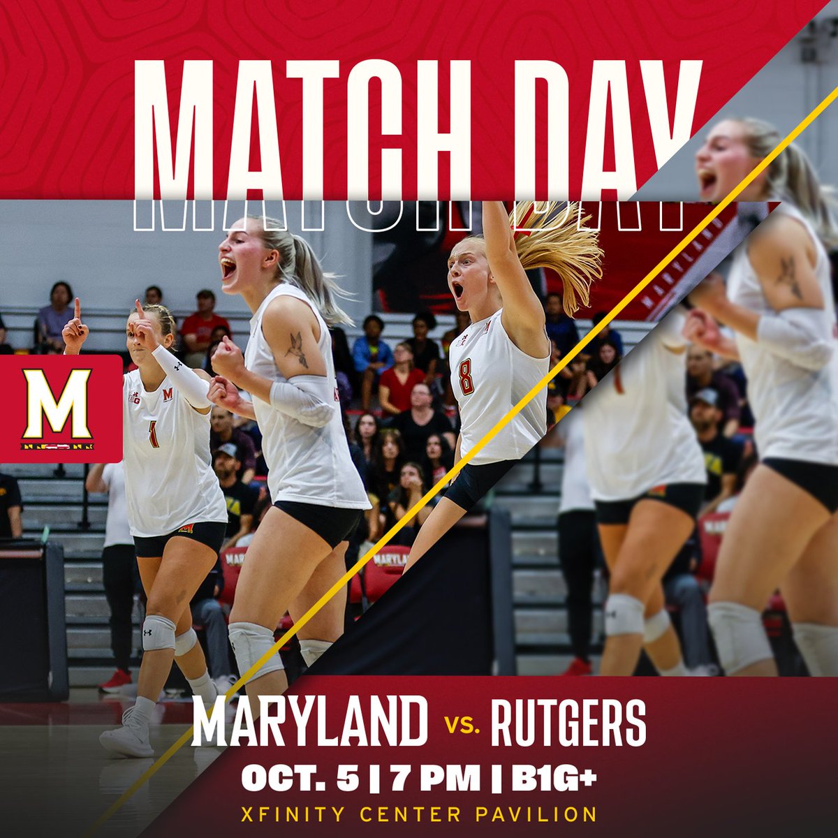 Maryland Volleyball tweet media