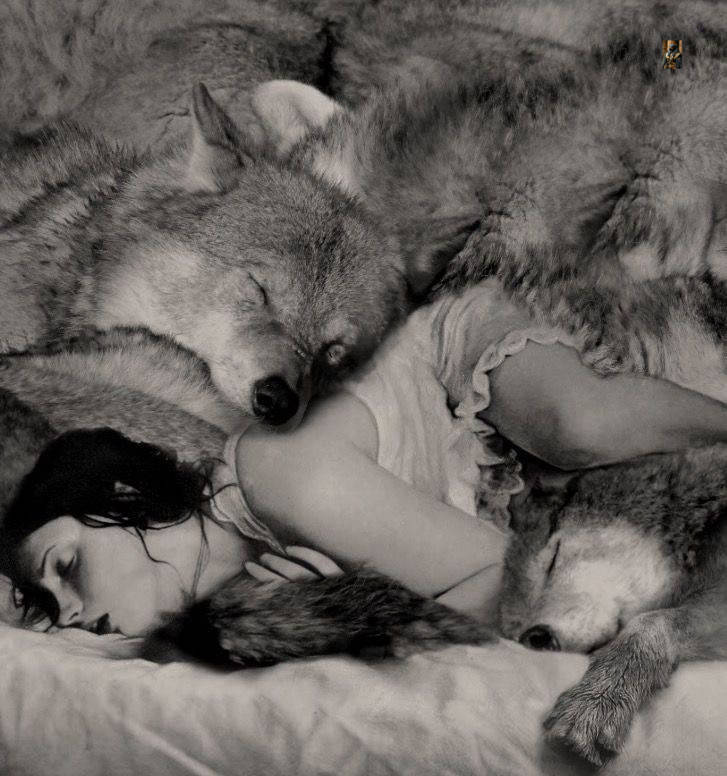 🐺💕🌙