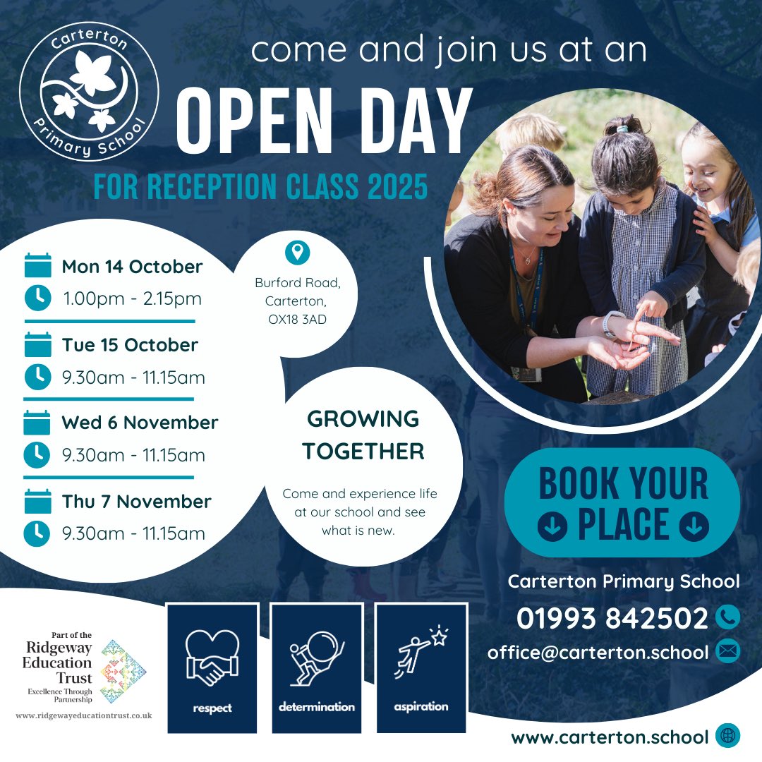 Hanami Dream tweet media