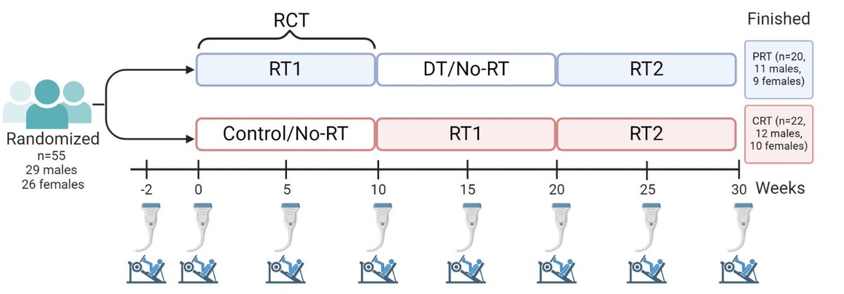 Brad Schoenfeld, PhD tweet media