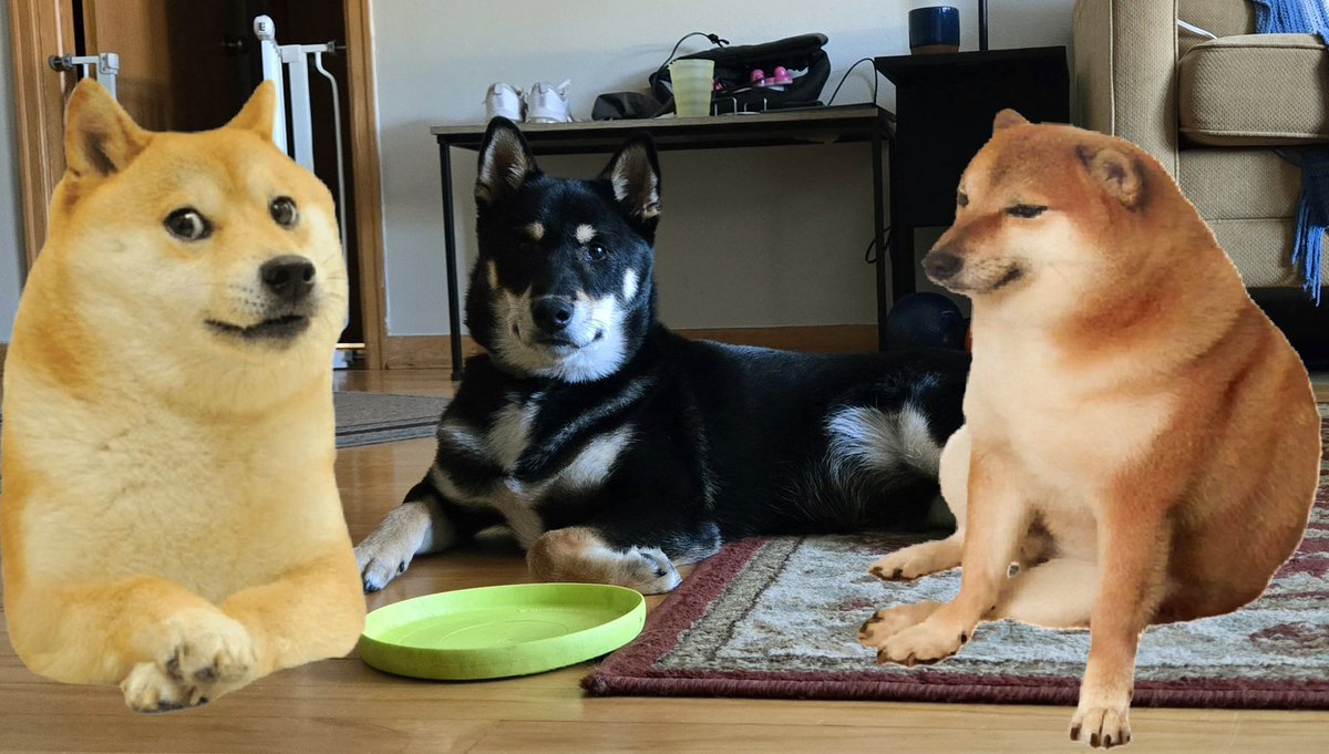 Gmgm y'all!! 🍾
   #ToTheMoon