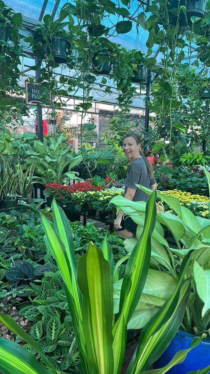 Stephen Olmon tweet media