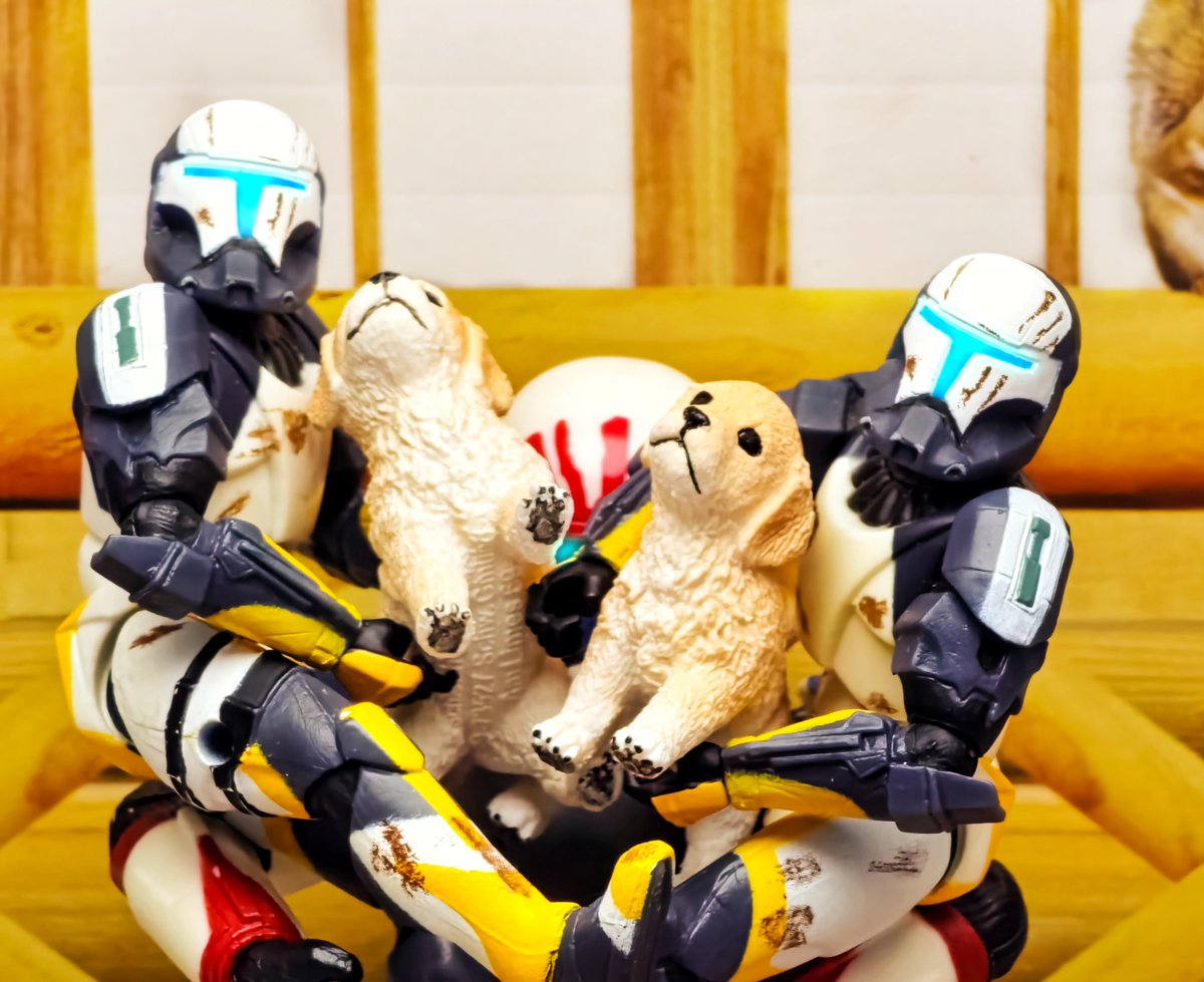 62Megumi6207's tweet image. #楽しく玩具撮影会
#StarWars
#RepublicCommando
#SevandsmallScorchesandDandeandlion 
「フリー」