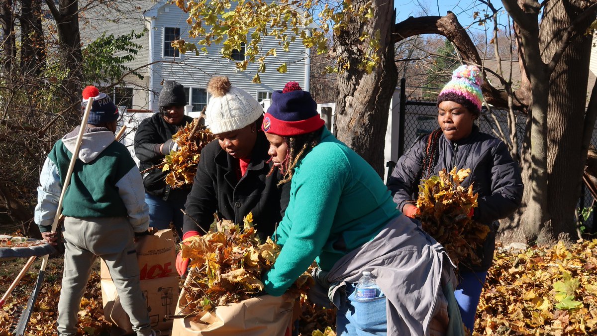 David Crowley tweet media