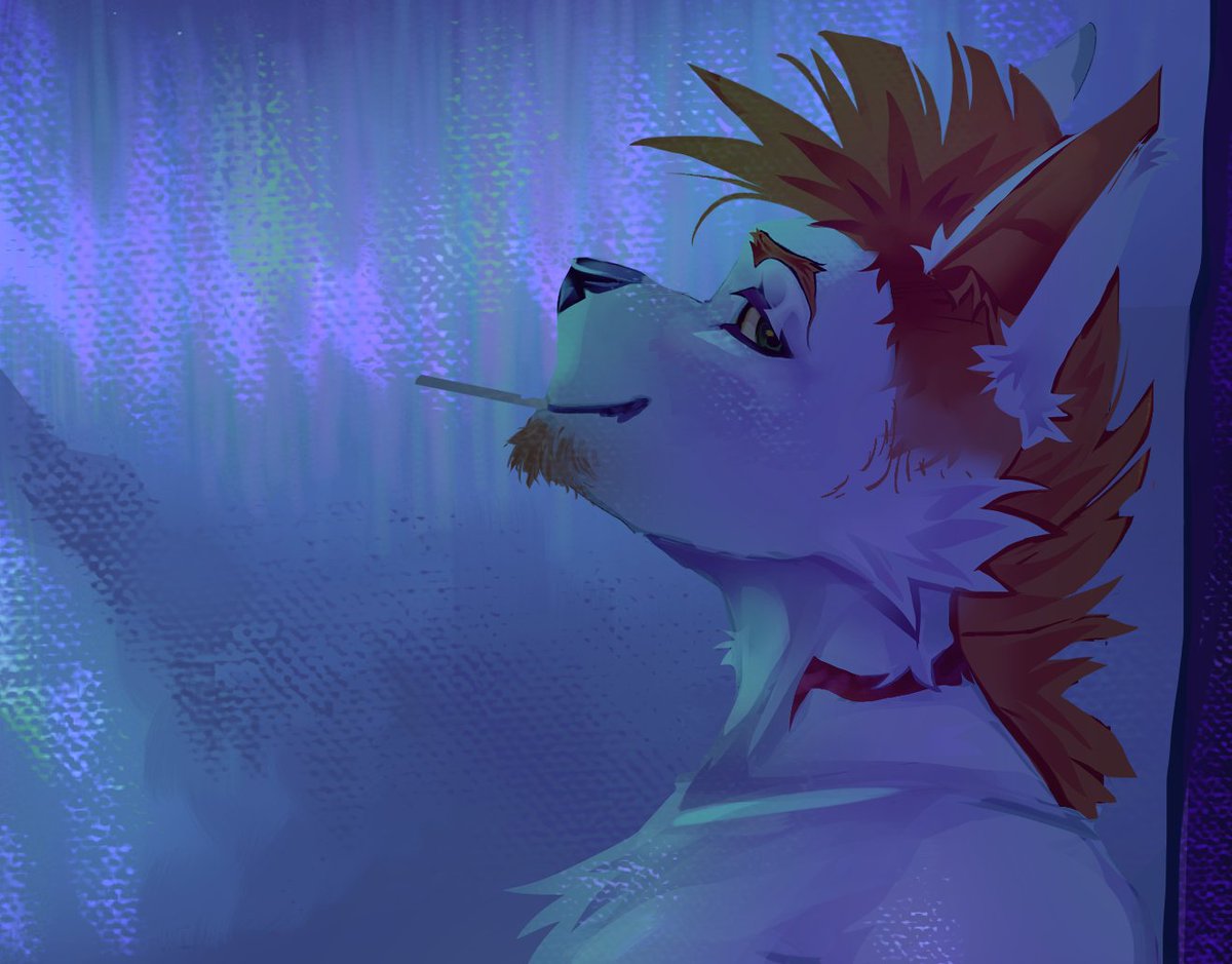 _Xiodrakof_'s tweet photo. 🌠
#furryarwork #furrytwt #digitalartwork https://t.co/w3ar1LYNdf
