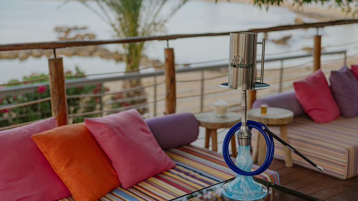 goldencoastcy's tweet photo. Looking for a chill spot by the beach to unwind and enjoy some delicious shisha? Look no further than Antamoma Events Venue & Chill Out Bar!
https://t.co/le8ebRJeoP
#GoldenCoastBeachHotel #ShishaAndCocktails #RelaxationAtItsFinest #hookah #bythebeach #antamomabeachbar https://t.co/wAYo9nSpZt