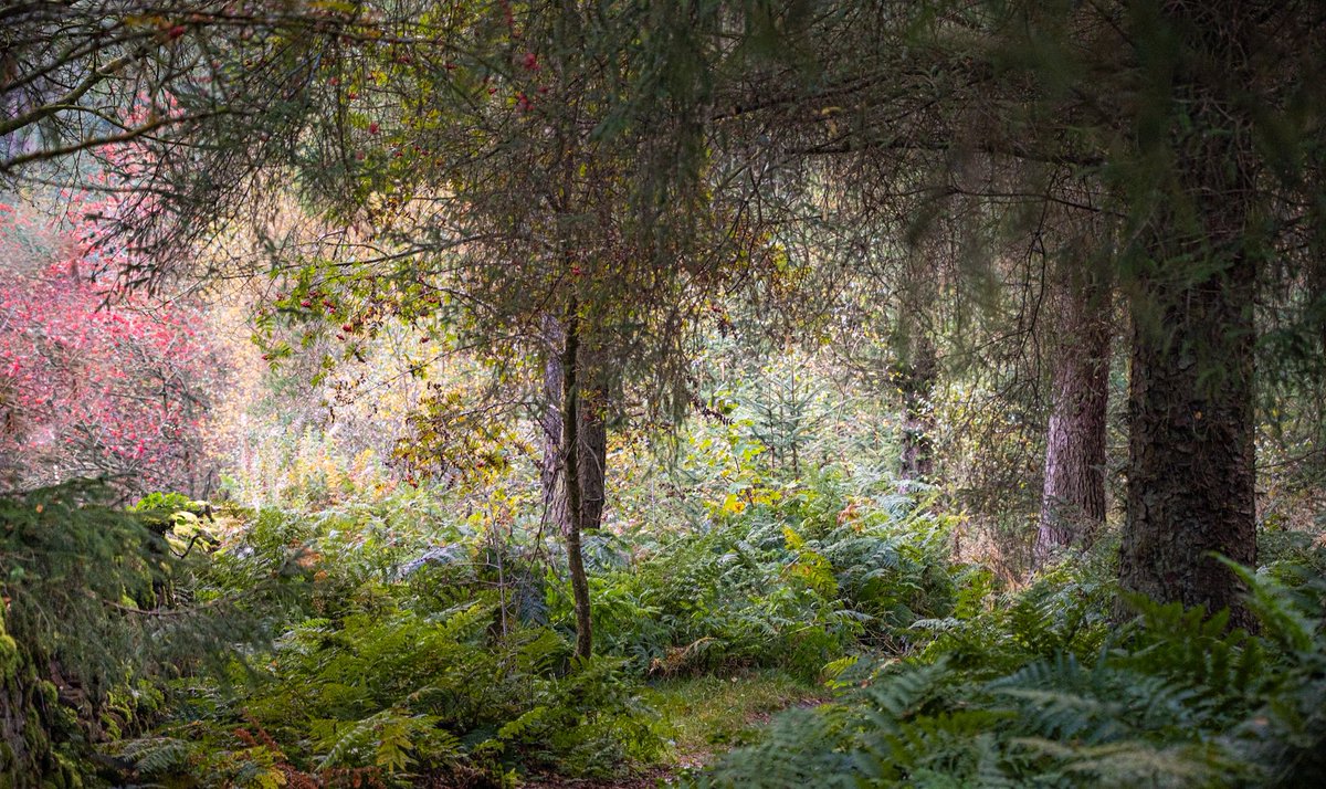 A nice wander this morning..