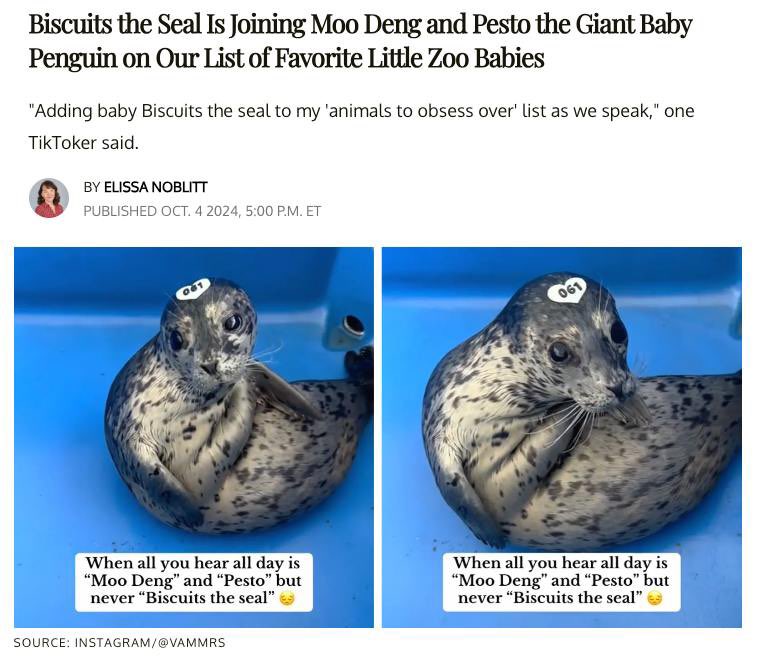 evan_onchain's tweet photo. leaning heavily into tiktok virality lately

it will hit bigger than we can imagine

the early 🦭 gets the 🐟