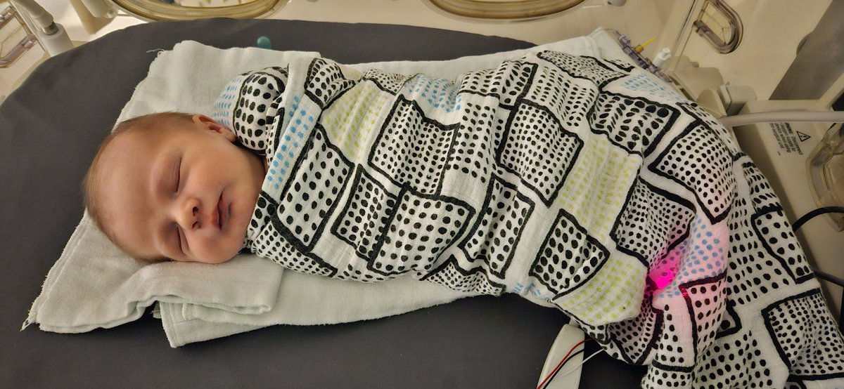 Jake Leguee tweet media