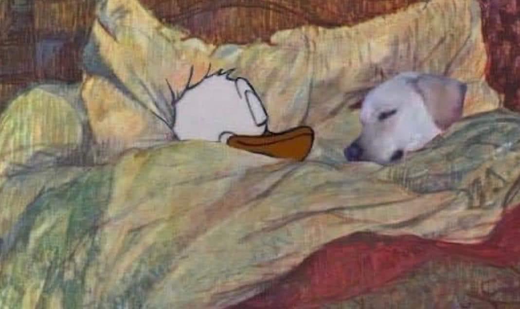 Dilo con perritos tweet media