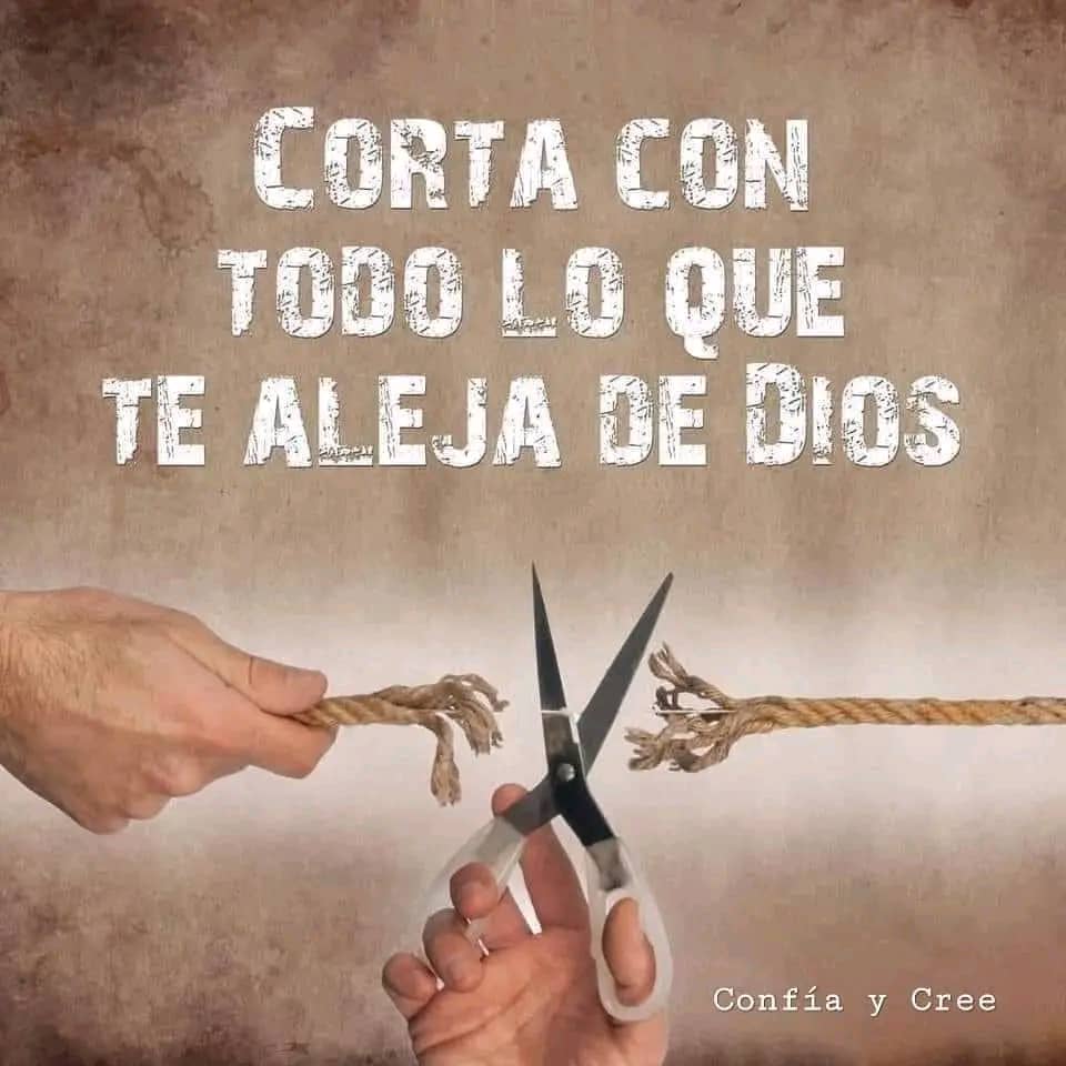 CarmenC. (@carmbuit) on Twitter photo 