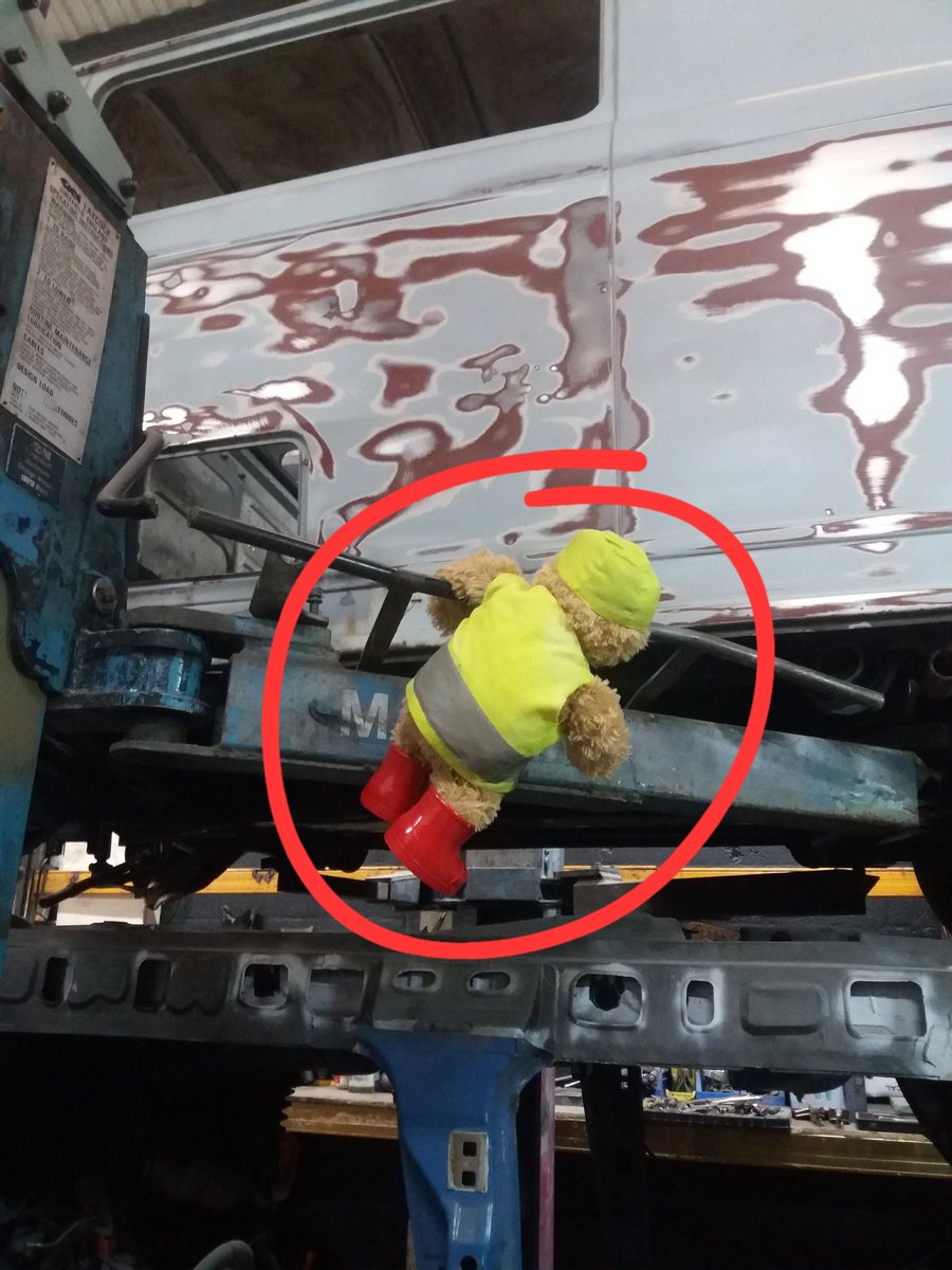 Green Ted tweet media