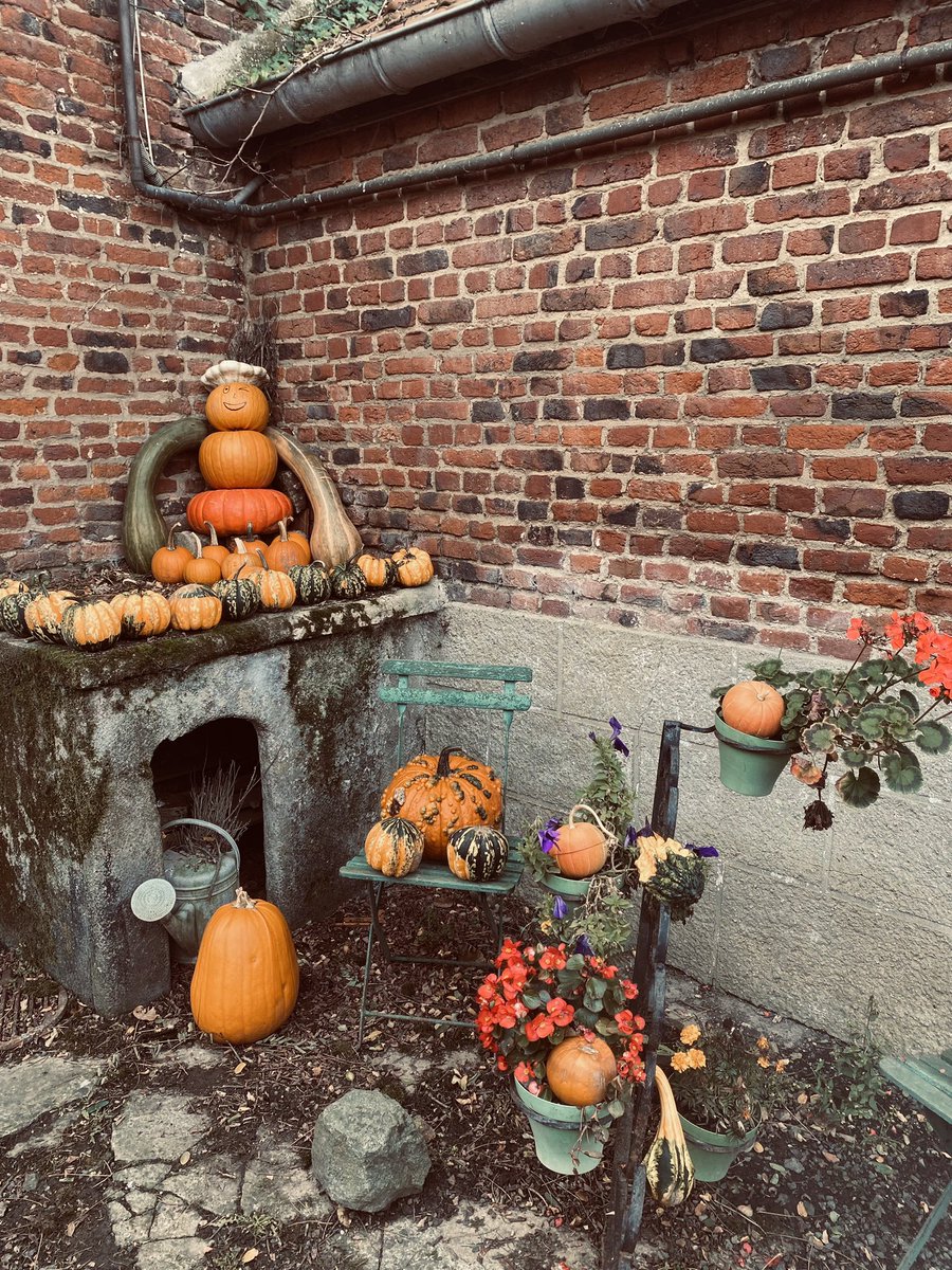 Disneylicious__'s tweet photo. pumpkin vibes 🎃🧡 https://t.co/SDcfQI6L4t