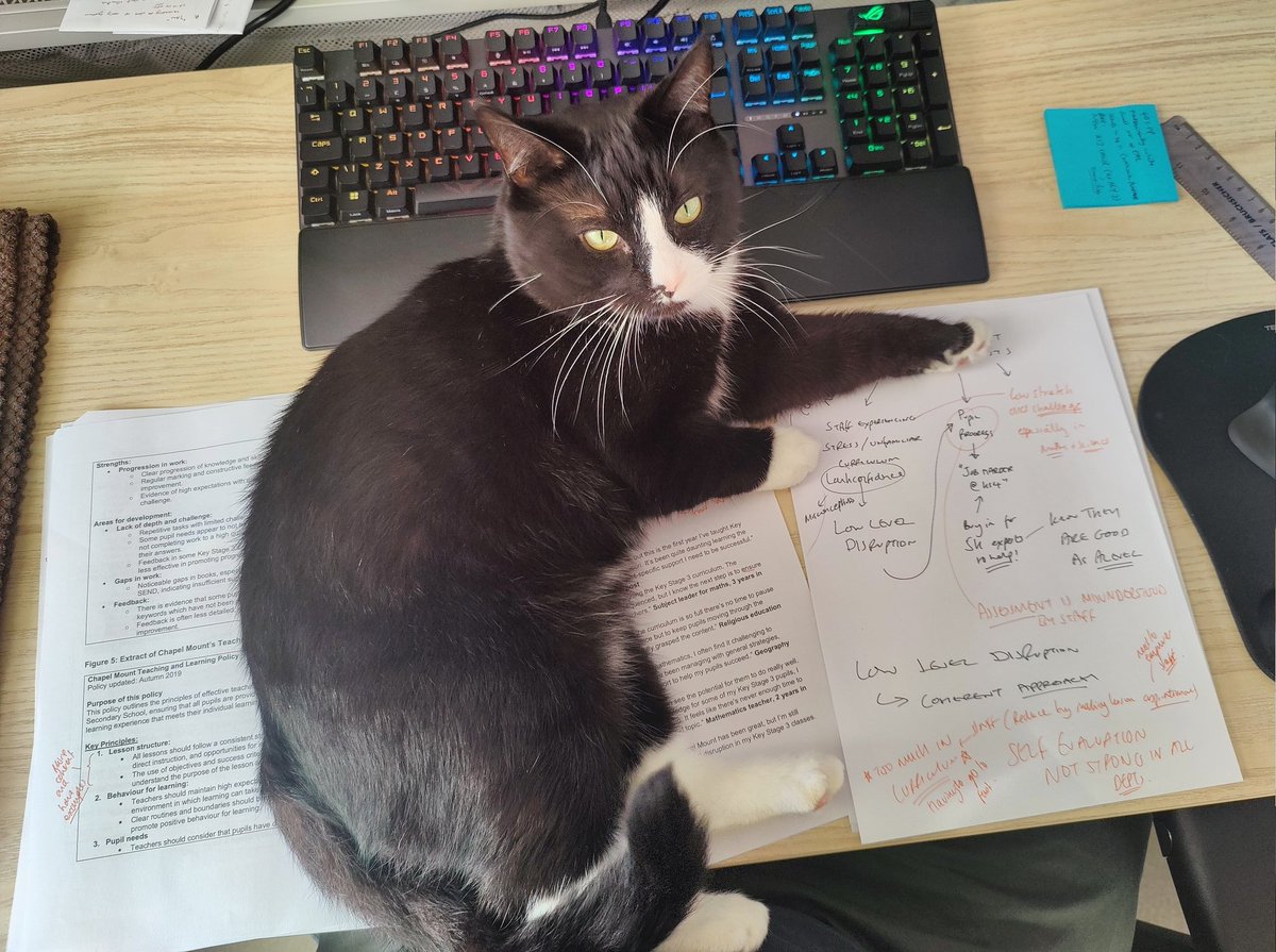 It's not like I am trying to complete my NPQ right now..... Of all the places 🤣🐈‍⬛