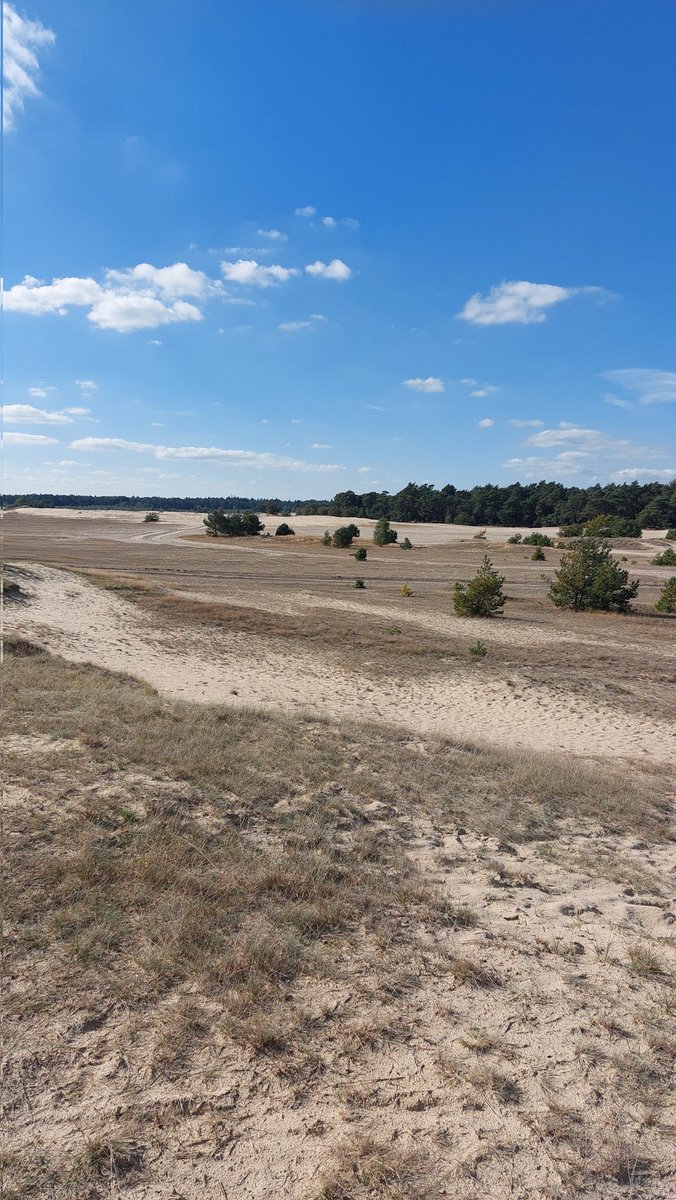 Harderwijk, rondje beekhuizerzand.