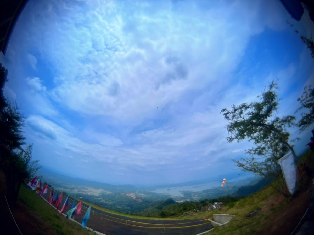 Hartz (@oenharth1) on Twitter photo 