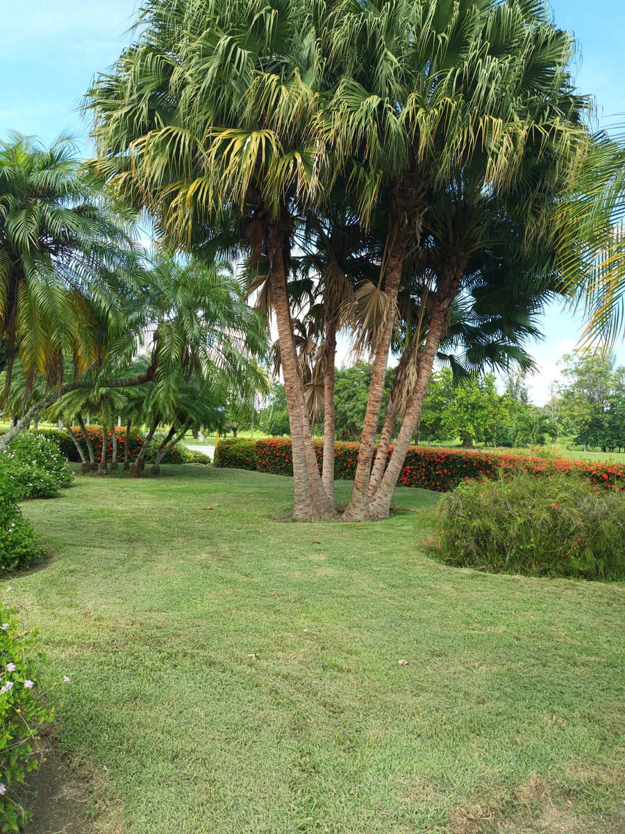 La Universidad Central de Las Villas tiene un claustro de lujo con una cultura del detalle digno de imitar.
#CubaViveYVence 
#LatirAvileño 
<a href="/eesthaba/">THABA</a> 
<a href="/SegundoLinaresR/">Segundo Linares</a>
