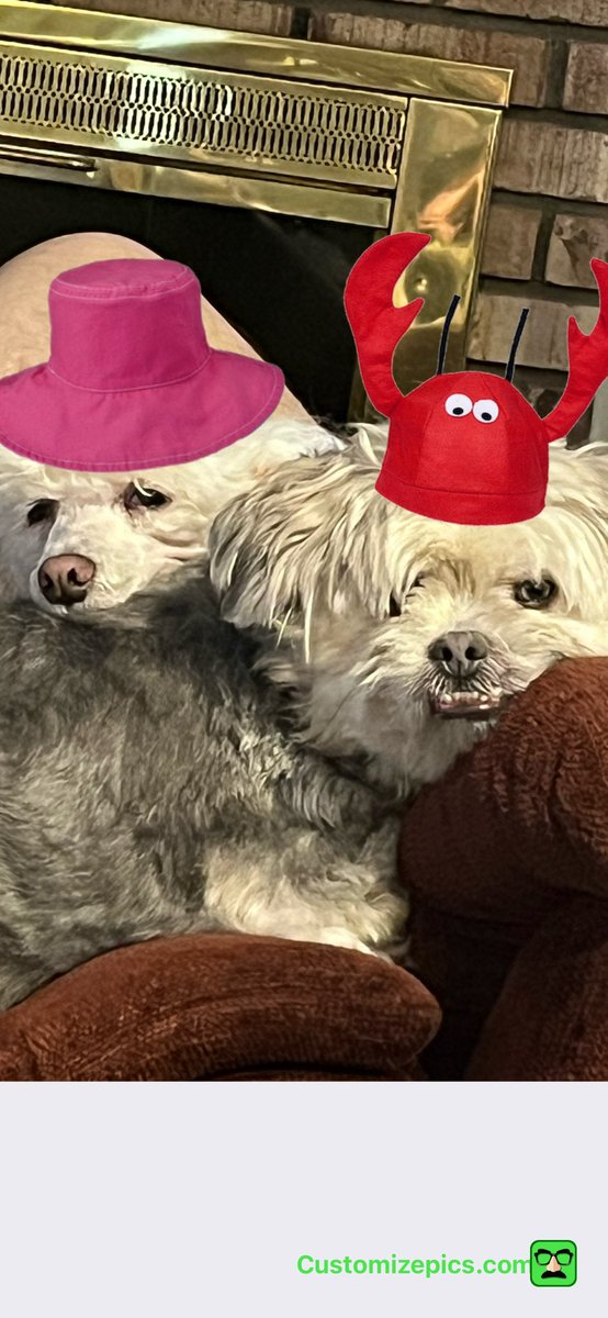 We’re late, but we’re here!   #ZZST