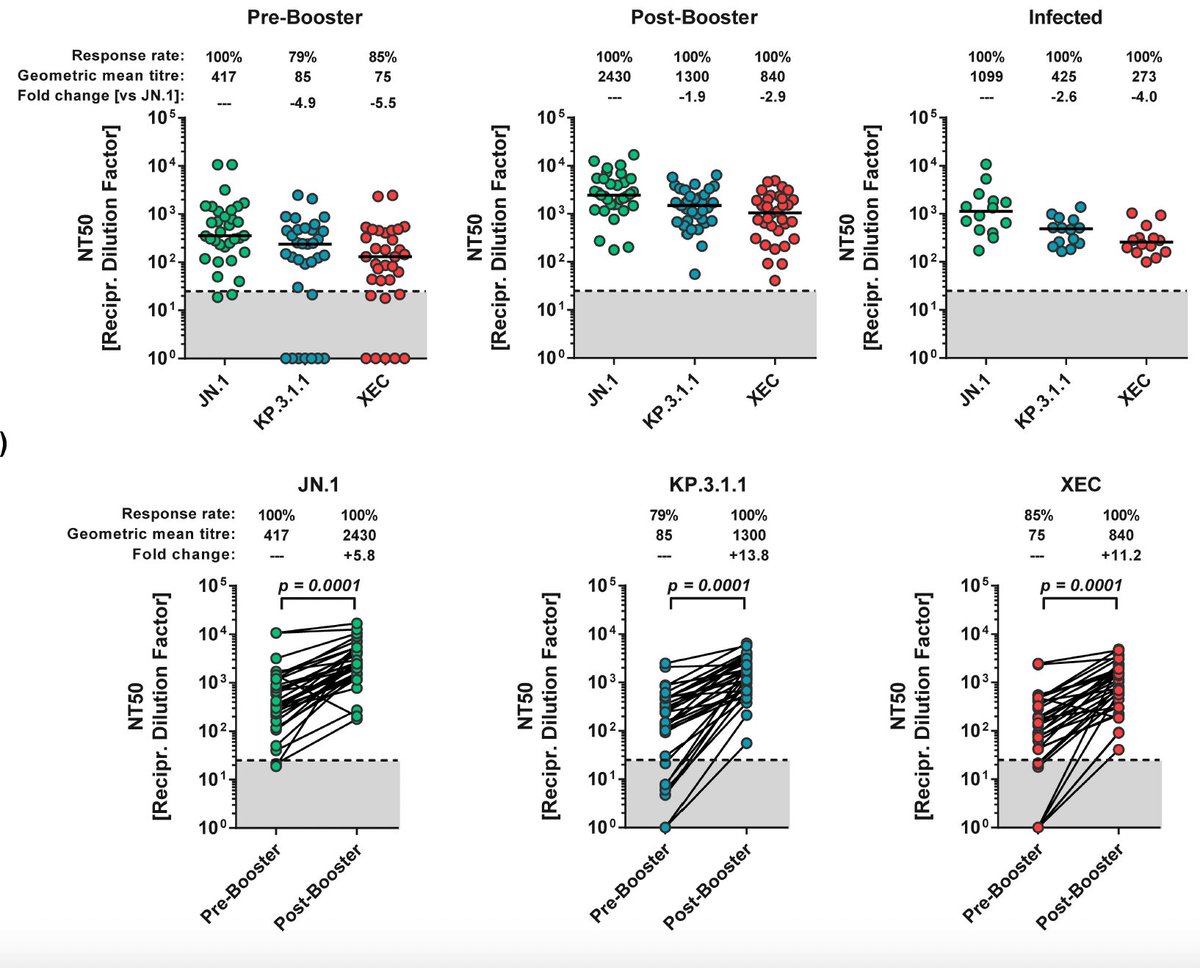 EricTopol's tweet photo. First lab characterization of the effect of vaccination (JN.1-spike directed) on the emerging XEC variant
https://t.co/2udQ8AgAPn @inflammationHL
Drop-off of neutralization response compared with KP.3.1.1 (current dominant variant) but should still be protective https://t.co/9raXN1509j