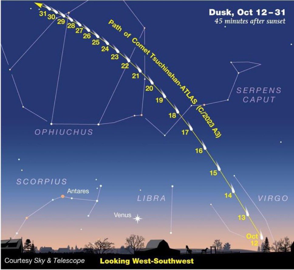 Voilà comment la comète sera visible dans le ciel, 45 minutes après le coucher de soleil, à l’ouest!) 

Plus on avance dans le mois d’octobre, plus elle sera haute et peu brillante !