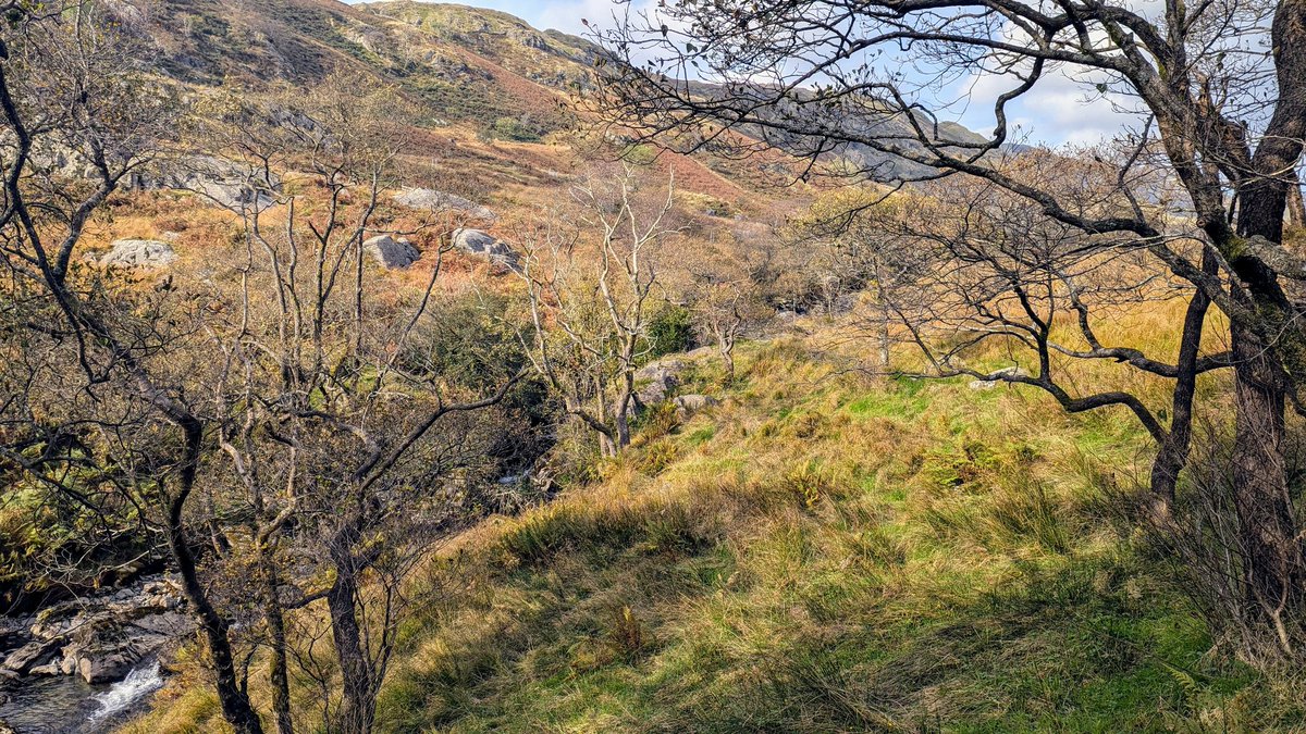 There's still plenty of places in the lakes where you don't see another soul for hours on end. #LakeDistrict #Autumn #Exploring