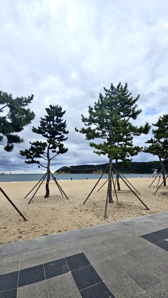 Kangdamin1004's tweet image. 6️⃣ 일요일
바다를 보면서 10월에 있을 계획된 일을
생각해 보기.
감당할 것과 지켜낼 것과 적응해갈 것!
#Team #친부수술 #인사교육 #결기